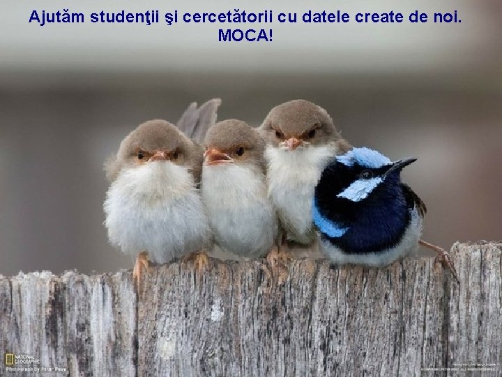 Ajutăm studenţii şi cercetătorii cu datele create de noi. Harta României pe internet folosind