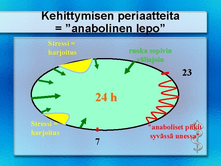 Kehittymisen periaatteita = ”anabolinen lepo” Stressi = harjoitus ruoka sopivin väliajoin 23 24 h Kehittymisen periaatteita = ”anabolinen lepo” Stressi = harjoitus ruoka sopivin väliajoin 23 24 h