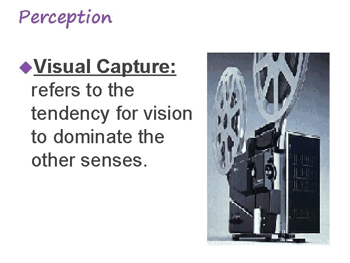 Perception Visual Capture: refers to the tendency for vision to dominate the other senses.