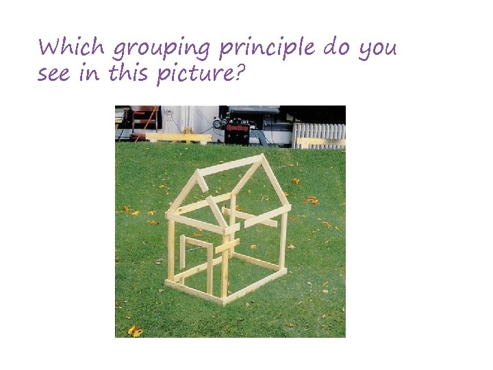 Which grouping principle do you see in this picture? 