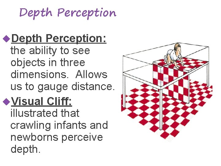 Depth Perception: the ability to see objects in three dimensions. Allows us to gauge