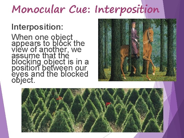 Monocular Cue: Interposition: When one object appears to block the view of another, we