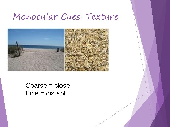 Monocular Cues: Texture Coarse = close Fine = distant 