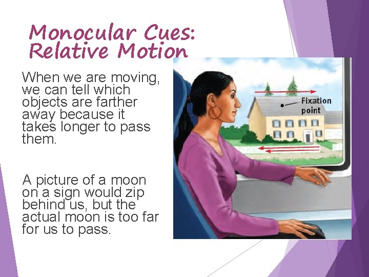 Monocular Cues: Relative Motion When we are moving, we can tell which objects are