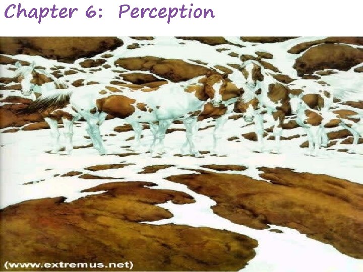 Chapter 6: Perception 