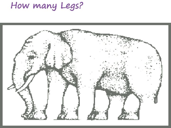 How many Legs? 