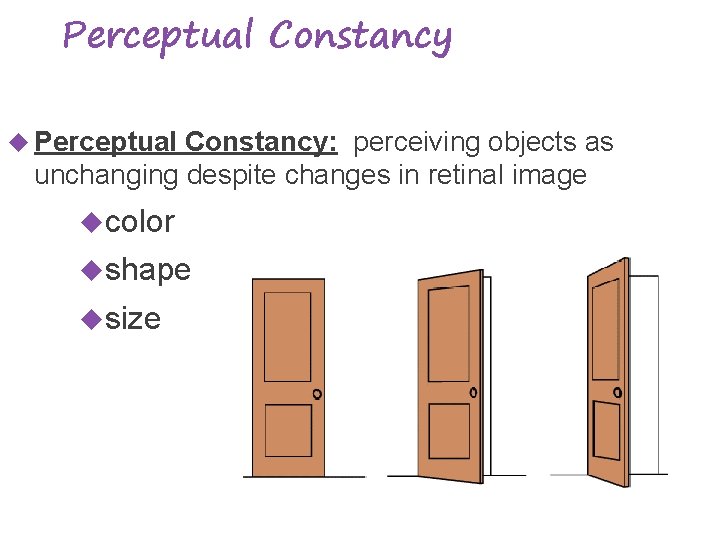 Perceptual Constancy Perceptual Constancy: perceiving objects as unchanging despite changes in retinal image color