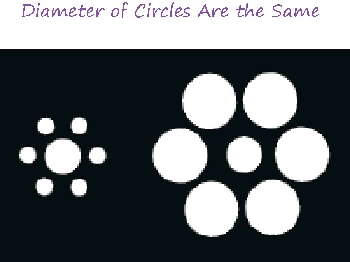 Diameter of Circles Are the Same 