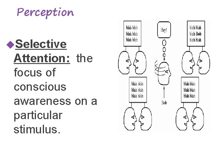 Perception Selective Attention: the focus of conscious awareness on a particular stimulus. 