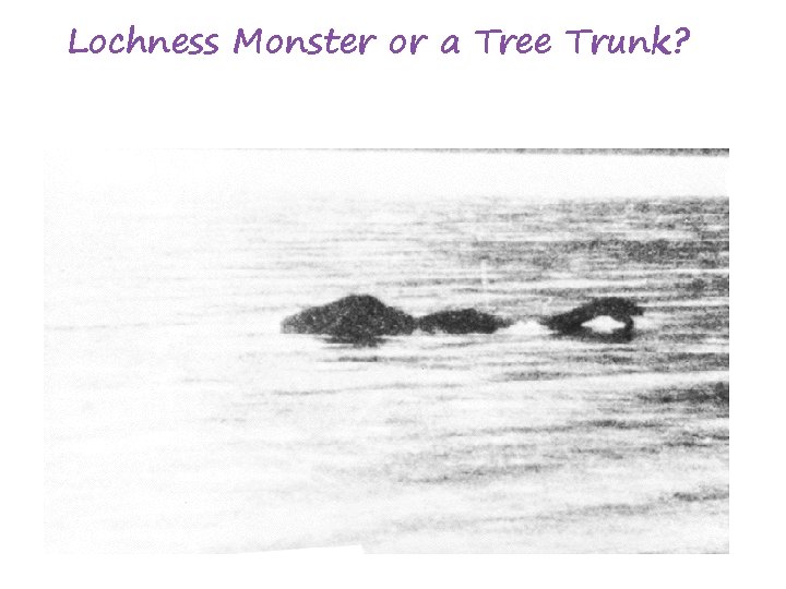Lochness Monster or a Tree Trunk? 
