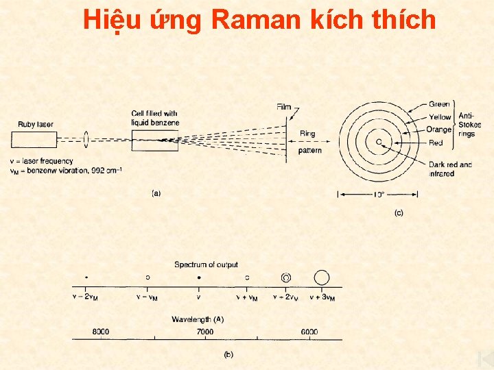 Hiệu ứng Raman kích thích 