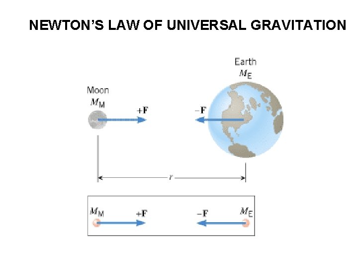 NEWTON’S LAW OF UNIVERSAL GRAVITATION 