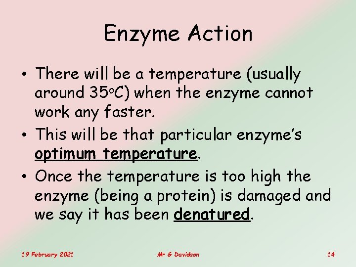 Enzyme Action • There will be a temperature (usually around 35 o. C) when Enzyme Action • There will be a temperature (usually around 35 o. C) when
