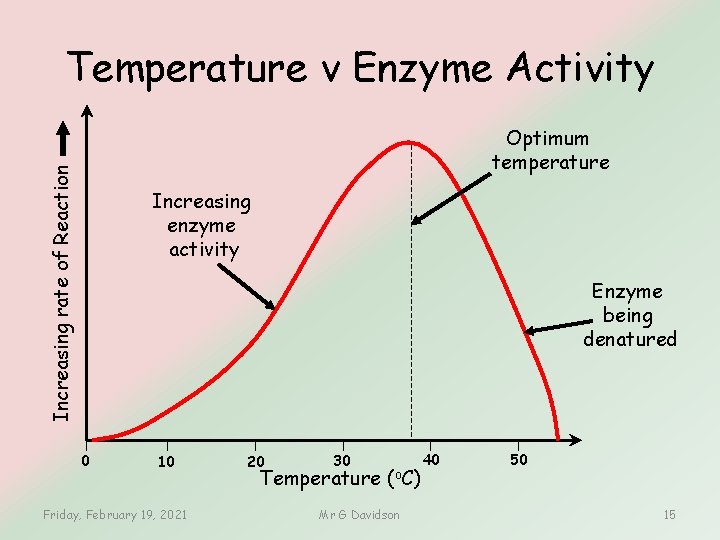 Temperature v Enzyme Activity Increasing rate of Reaction Optimum temperature Increasing enzyme activity Enzyme Temperature v Enzyme Activity Increasing rate of Reaction Optimum temperature Increasing enzyme activity Enzyme