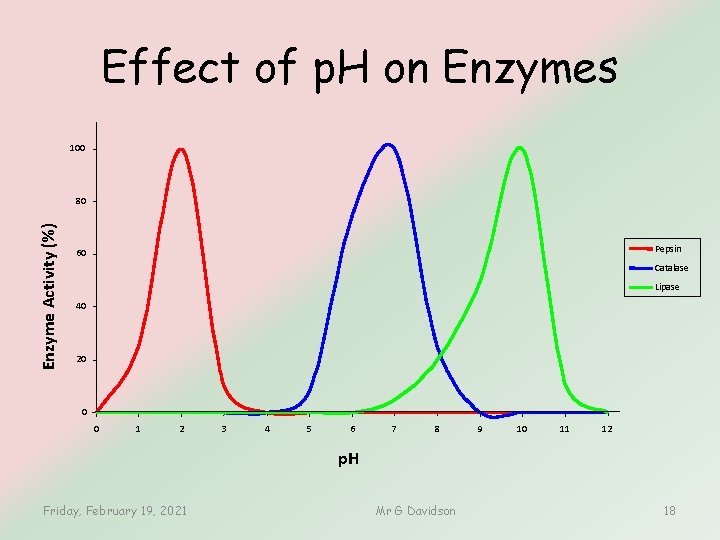 Effect of p. H on Enzymes 100 Enzyme Activity (%) 80 Pepsin 60 Catalase Effect of p. H on Enzymes 100 Enzyme Activity (%) 80 Pepsin 60 Catalase