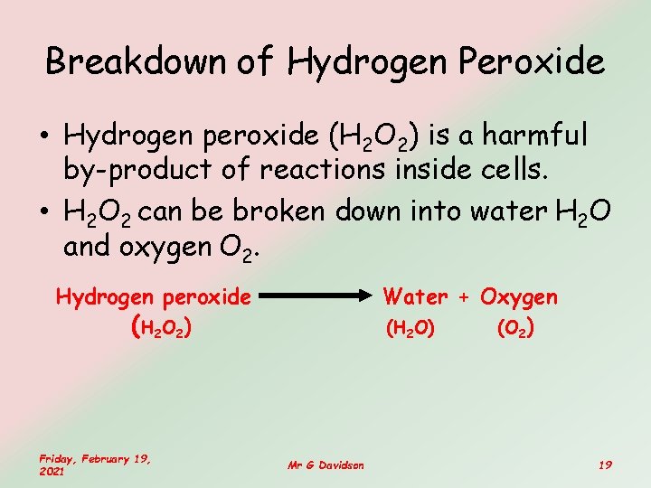 Breakdown of Hydrogen Peroxide • Hydrogen peroxide (H 2 O 2) is a harmful Breakdown of Hydrogen Peroxide • Hydrogen peroxide (H 2 O 2) is a harmful