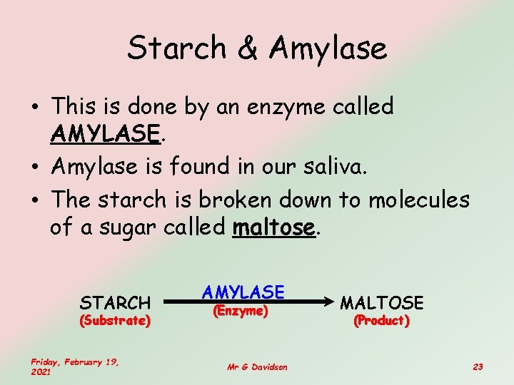 Starch & Amylase • This is done by an enzyme called AMYLASE. • Amylase Starch & Amylase • This is done by an enzyme called AMYLASE. • Amylase