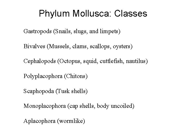 Phylum Mollusca: Classes Gastropods (Snails, slugs, and limpets) Bivalves (Mussels, clams, scallops, oysters) Cephalopods