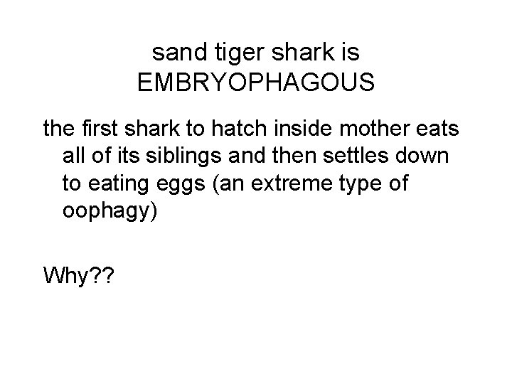 sand tiger shark is EMBRYOPHAGOUS the first shark to hatch inside mother eats all
