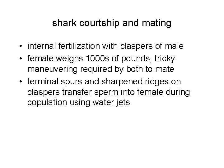 shark courtship and mating • internal fertilization with claspers of male • female weighs
