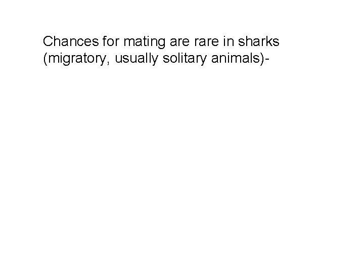 Chances for mating are rare in sharks (migratory, usually solitary animals)- 