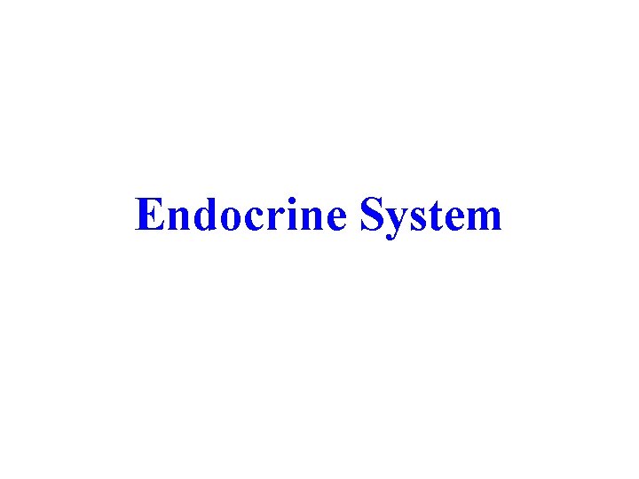 Endocrine System 