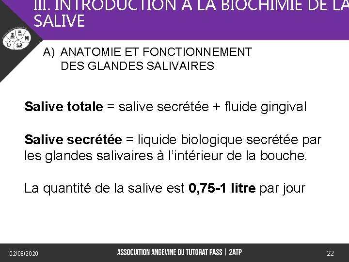 III. INTRODUCTION A LA BIOCHIMIE DE LA SALIVE A) ANATOMIE ET FONCTIONNEMENT DES GLANDES