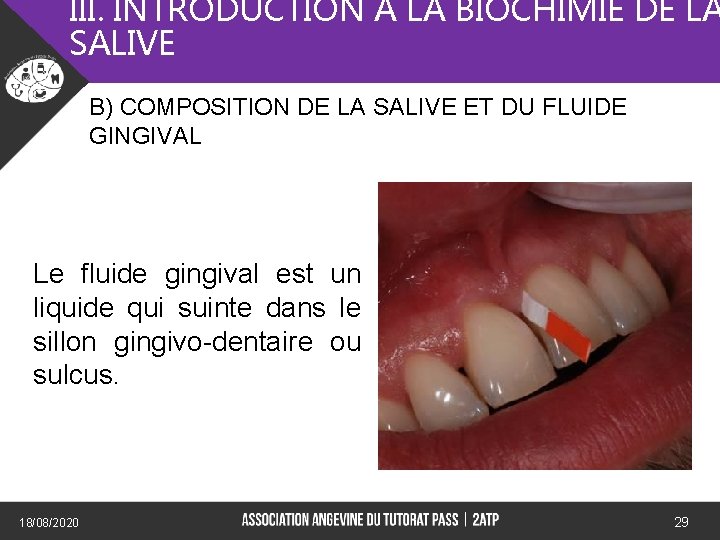 III. INTRODUCTION A LA BIOCHIMIE DE LA SALIVE B) COMPOSITION DE LA SALIVE ET