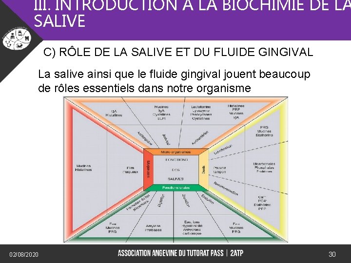 III. INTRODUCTION A LA BIOCHIMIE DE LA SALIVE C) RÔLE DE LA SALIVE ET