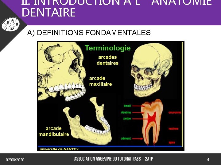 II. INTRODUCTION A L’ANATOMIE DENTAIRE A) DEFINITIONS FONDAMENTALES) 02/08/2020 4 