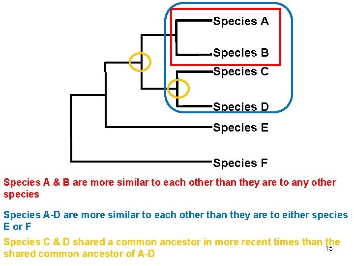 Species A Species B Species C Species D Species E Species F Species A