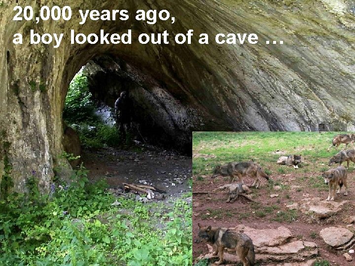 20, 000 years ago, a boy looked out of a cave … 5 