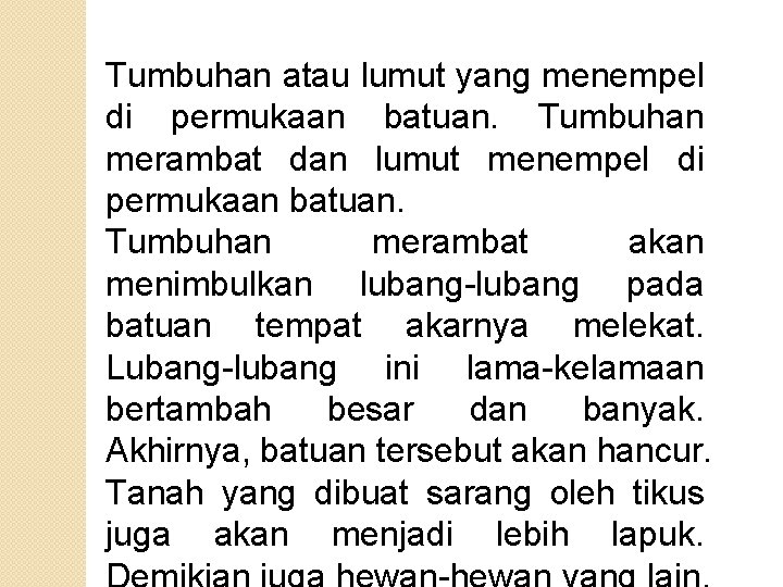Tumbuhan atau lumut yang menempel di permukaan batuan. Tumbuhan merambat dan lumut menempel di Tumbuhan atau lumut yang menempel di permukaan batuan. Tumbuhan merambat dan lumut menempel di