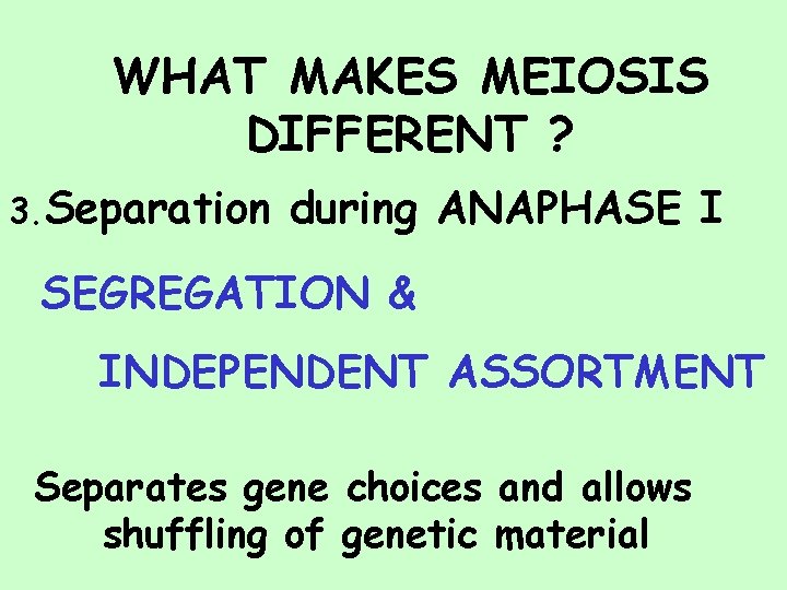 WHAT MAKES MEIOSIS DIFFERENT ? 3. Separation during ANAPHASE I SEGREGATION & INDEPENDENT ASSORTMENT