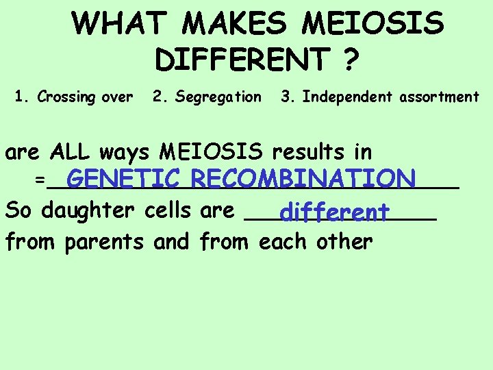 WHAT MAKES MEIOSIS DIFFERENT ? 1. Crossing over 2. Segregation 3. Independent assortment are