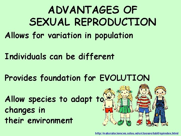 ADVANTAGES OF SEXUAL REPRODUCTION Allows for variation in population Individuals can be different Provides