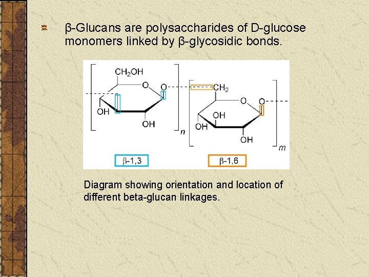 β-Glucans are polysaccharides of D-glucose monomers linked by β-glycosidic bonds. Diagram showing orientation and