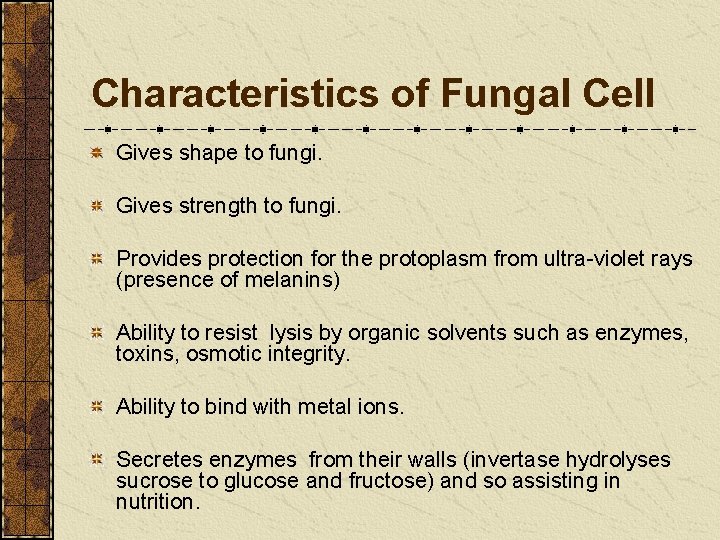 Characteristics of Fungal Cell Gives shape to fungi. Gives strength to fungi. Provides protection