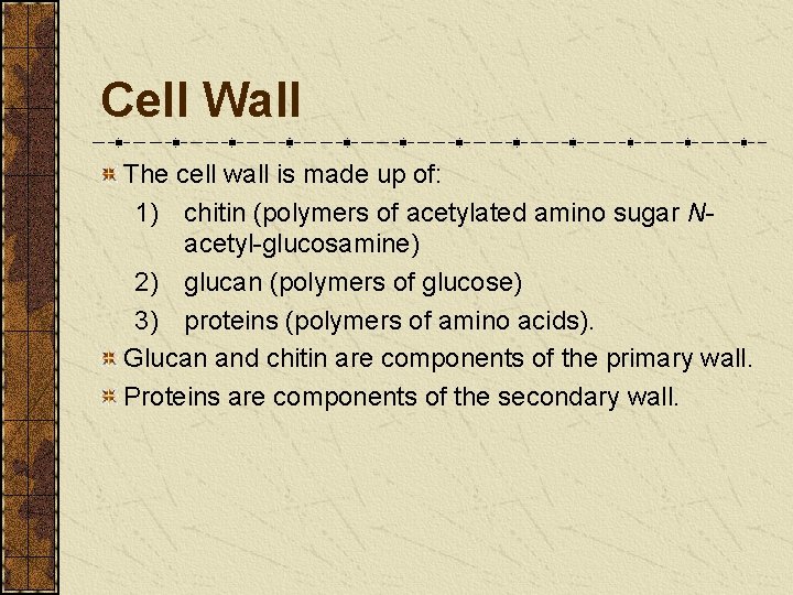 Cell Wall The cell wall is made up of: 1) chitin (polymers of acetylated