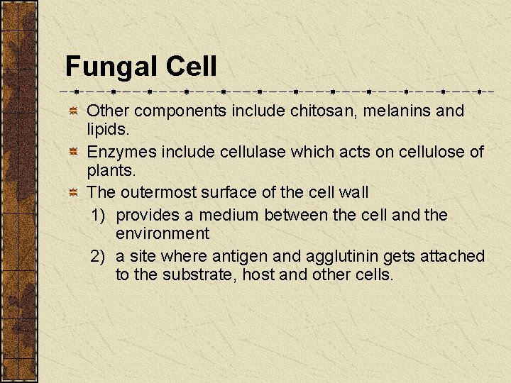 Fungal Cell Other components include chitosan, melanins and lipids. Enzymes include cellulase which acts