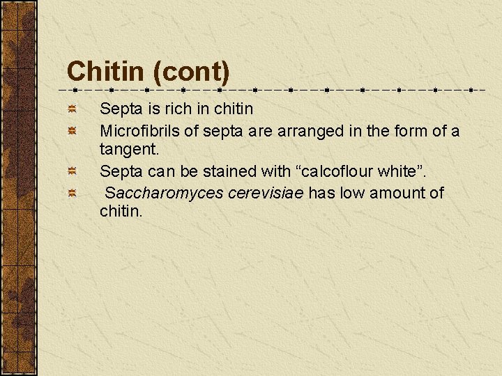 Chitin (cont) Septa is rich in chitin Microfibrils of septa are arranged in the