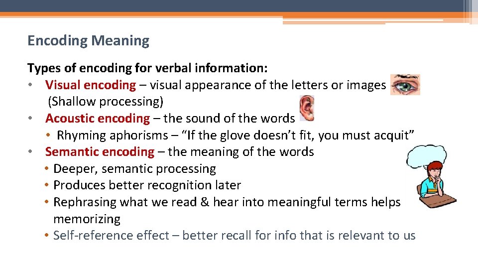 Encoding Meaning Types of encoding for verbal information: • Visual encoding – visual appearance