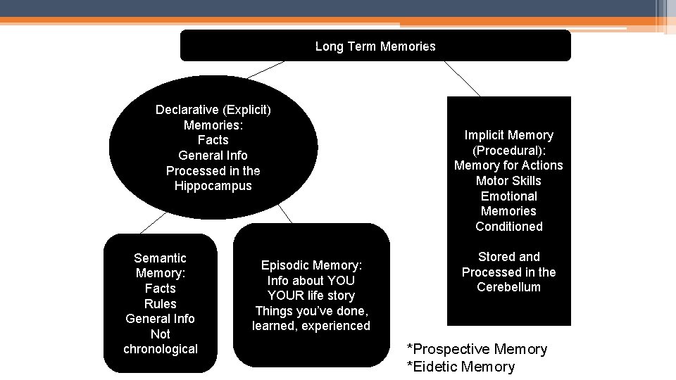 Long Term Memories Declarative (Explicit) Memories: Facts General Info Processed in the Hippocampus Semantic