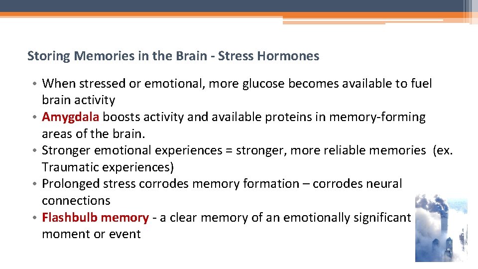 Storing Memories in the Brain - Stress Hormones • When stressed or emotional, more