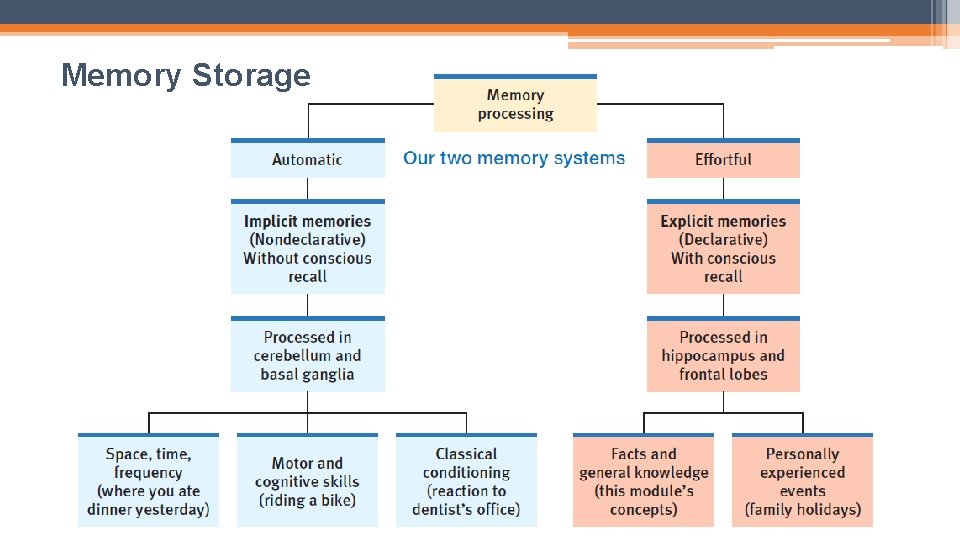 Memory Storage 