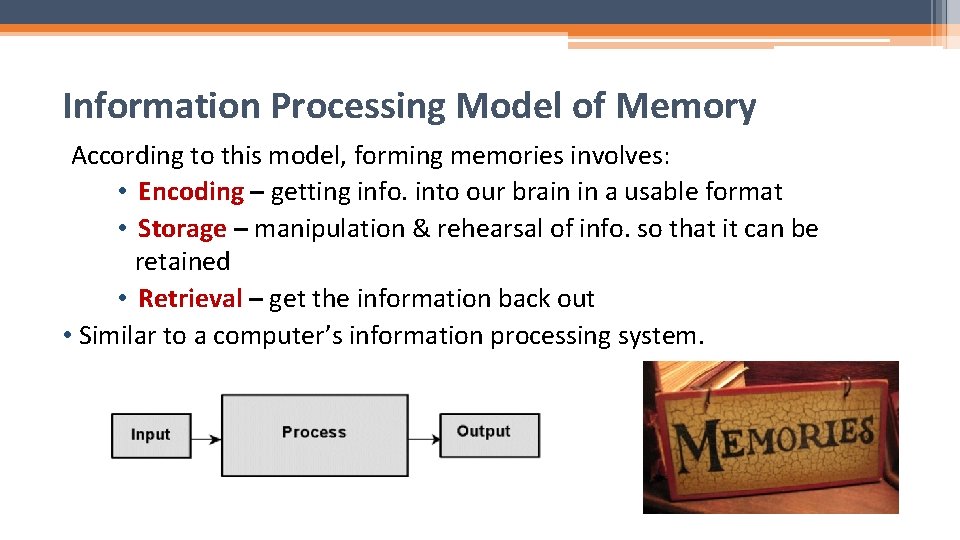 Information Processing Model of Memory According to this model, forming memories involves: • Encoding