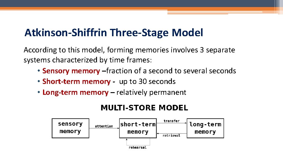 Atkinson-Shiffrin Three-Stage Model According to this model, forming memories involves 3 separate systems characterized