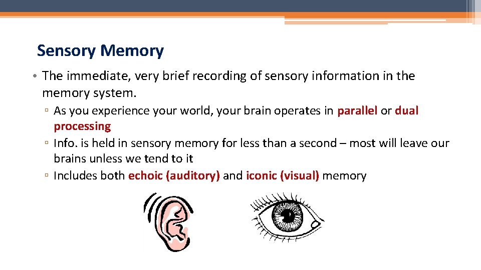 Sensory Memory • The immediate, very brief recording of sensory information in the memory