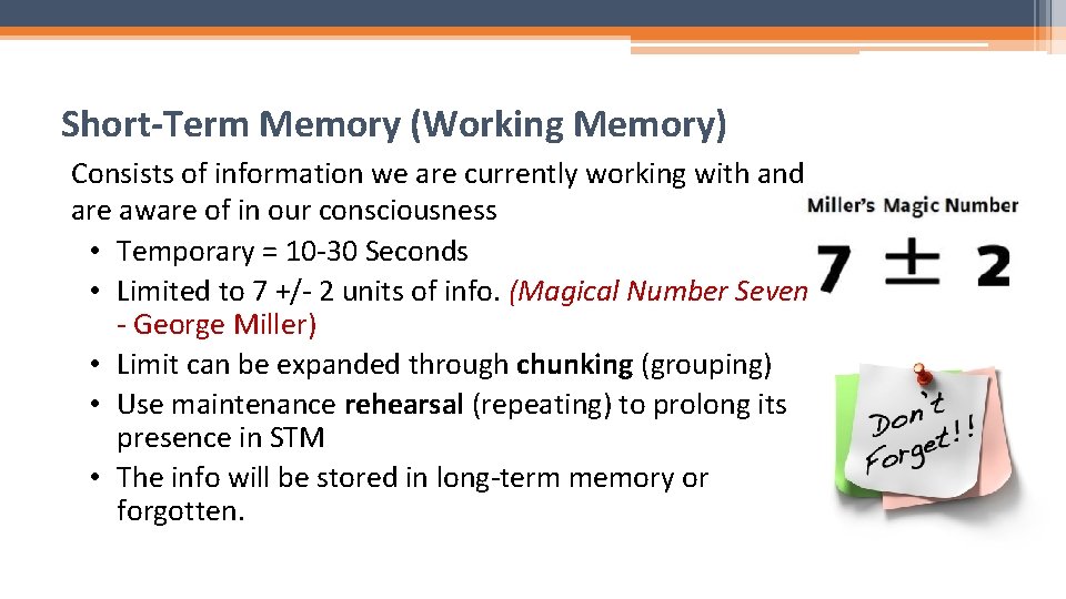 Short-Term Memory (Working Memory) Consists of information we are currently working with and are