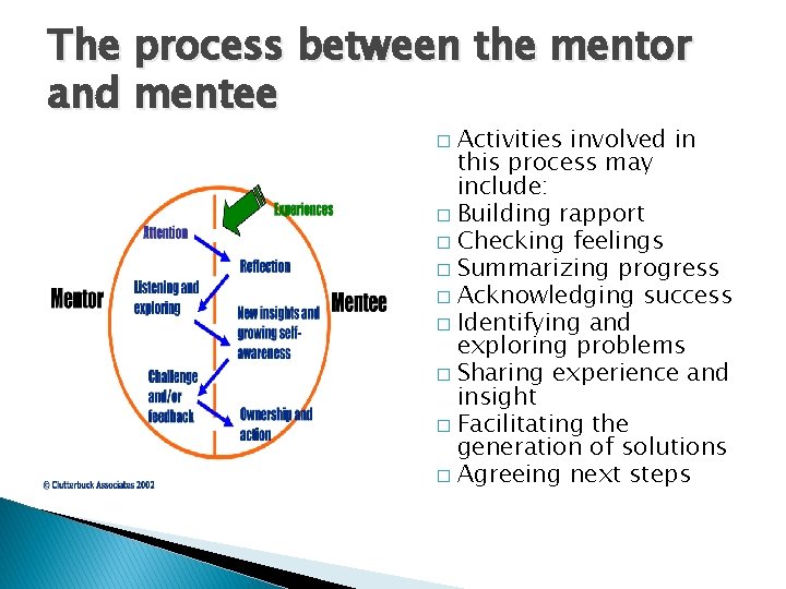 The process between the mentor and mentee Activities involved in this process may include: The process between the mentor and mentee Activities involved in this process may include: